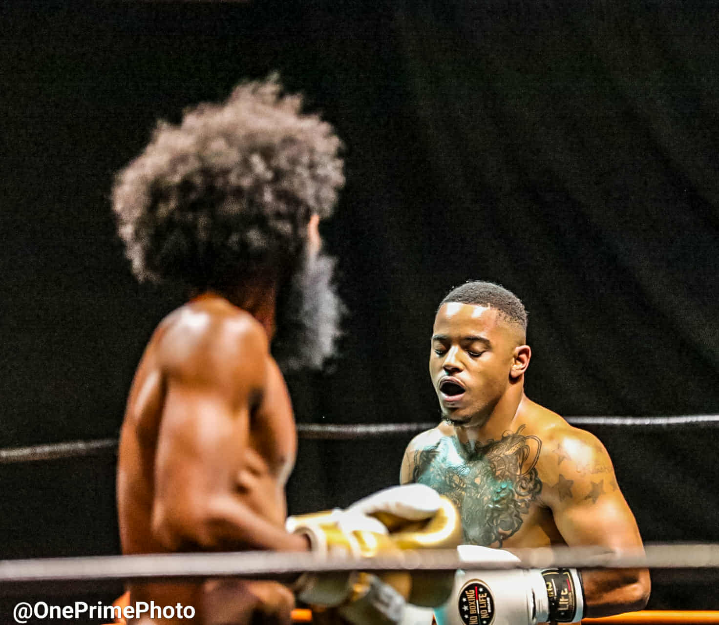 Made Fight League event photo