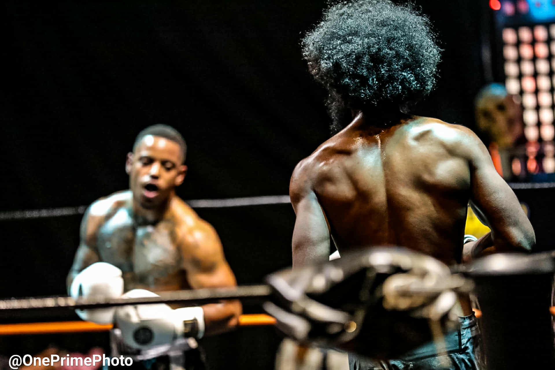 Made Fight League event photo